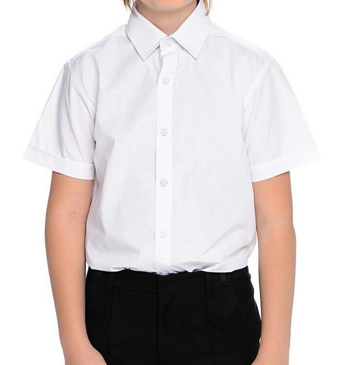картинка Рубашка на мальчика (короткий рукав) от магазина ТРИКОТАЖНЫЙ РАЙ